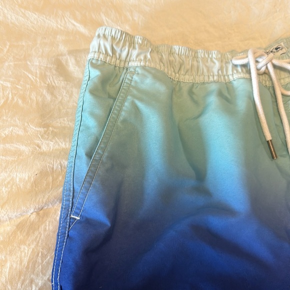 American Eagle swim trunks - Picture 2 of 11
